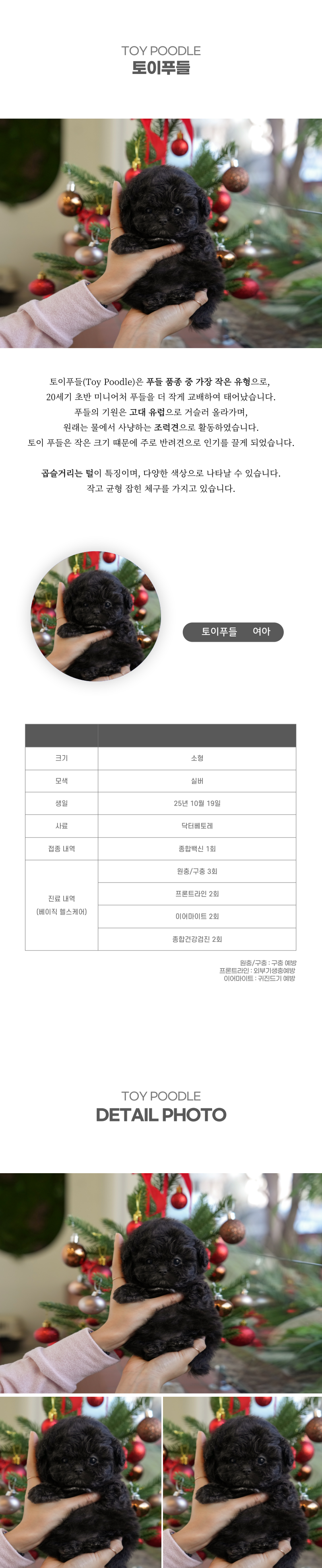 토이푸들_상세이미지_2